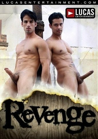 Revenge Poster of Revenge