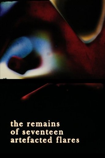 Poster of the remains of seventeen artefacted flares