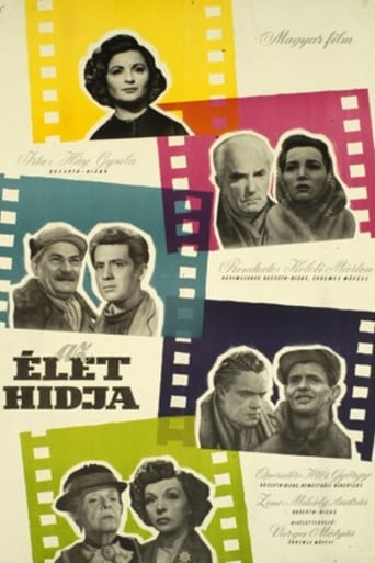 Poster of The bridge of life