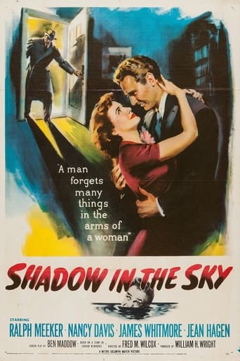 Poster of Shadow in the Sky