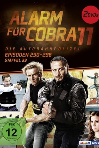 Portrait for Alarm for Cobra 11: The Motorway Police - Season 39