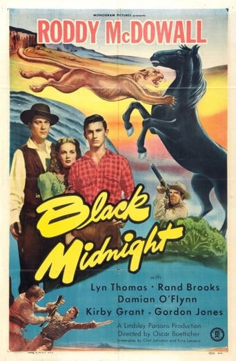 Poster of Black Midnight