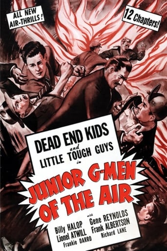 Poster of Junior G-Men of the Air
