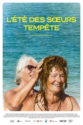 L'été des sœurs Tempête Poster of L'été des sœurs Tempête