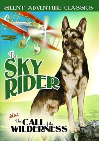 Poster of The Sky Rider