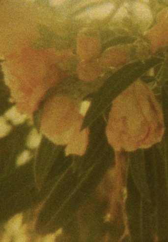 Poster of Seasons/Patterns
