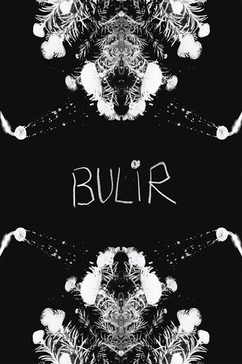Poster of BULIR