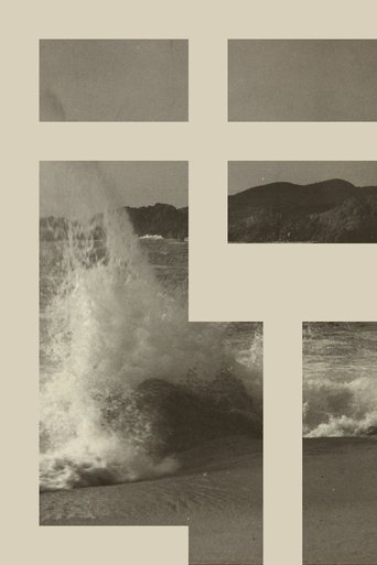 Poster of FELT