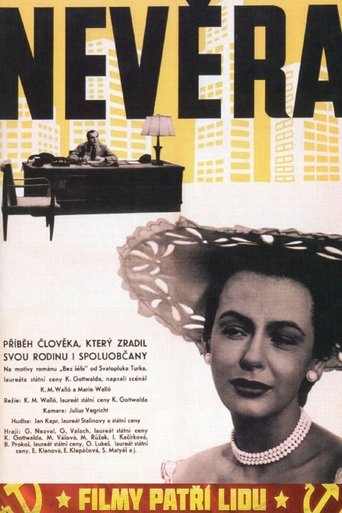 Poster of Nevěra
