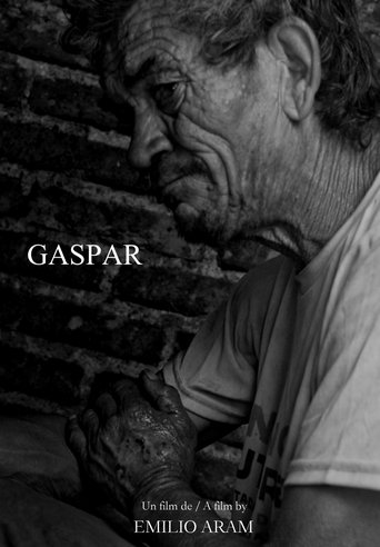 Poster of Gaspar