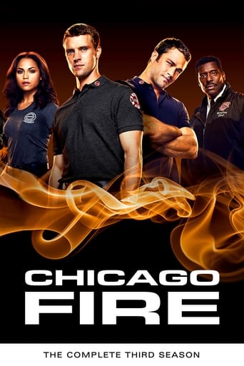 Portrait for Chicago Fire - Season 3
