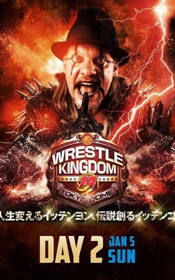 Poster of NJPW Wrestle Kingdom 14: Night 2