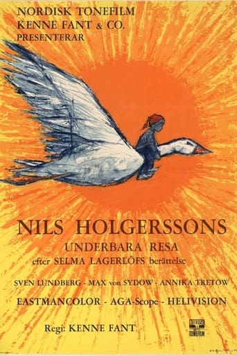 Poster of Wonderful Adventures of Nils