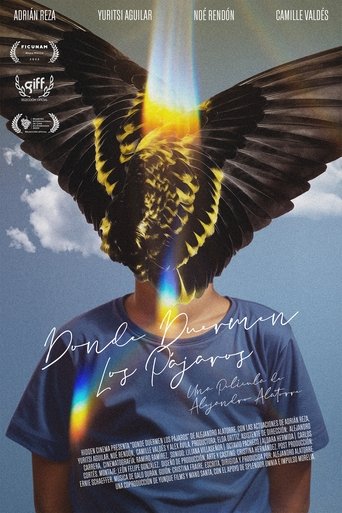 Where Birds Dream Poster of Where Birds Dream