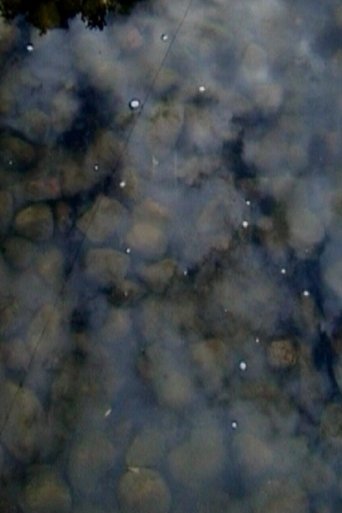 Drops on Marble Poster of Drops on Marble