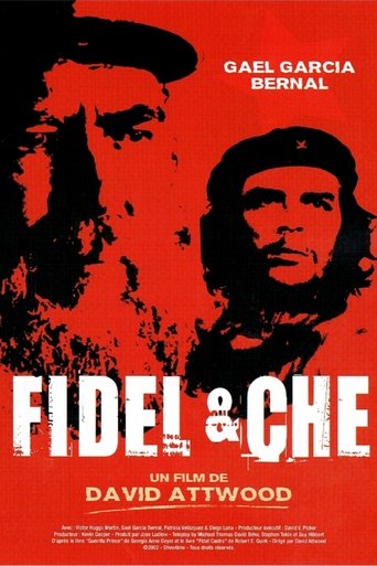 Poster of Fidel