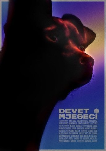 Nine Months Poster of Nine Months
