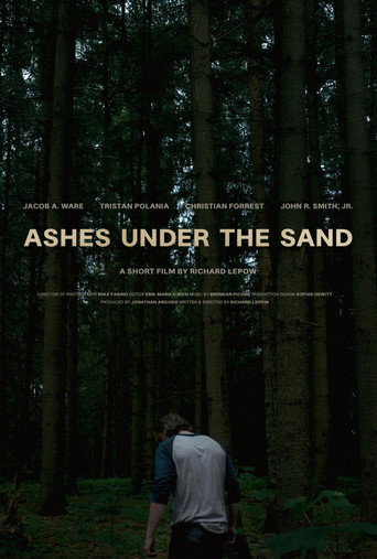 Ashes Under the Sand Poster of Ashes Under the Sand