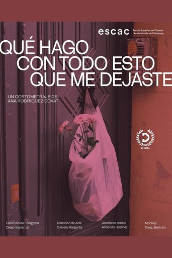 Poster of Qué hago con todo esto que me dejaste