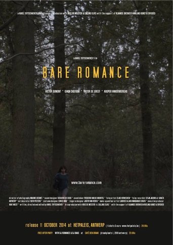 Poster of Bare Romance