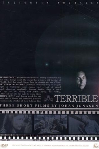Poster of Terrible