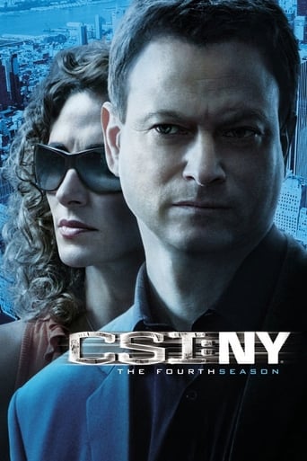 Portrait for CSI: NY - Season 4