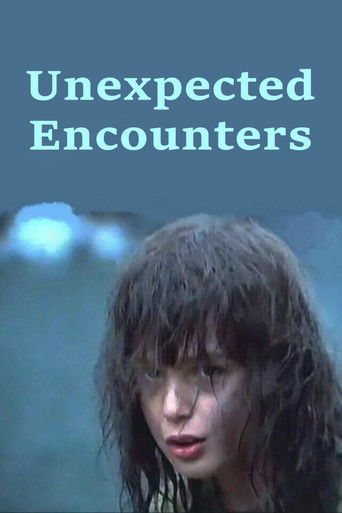 Unexpected Encounters Poster of Unexpected Encounters