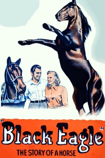 Poster of Black Eagle