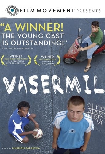 Poster of Vasermil