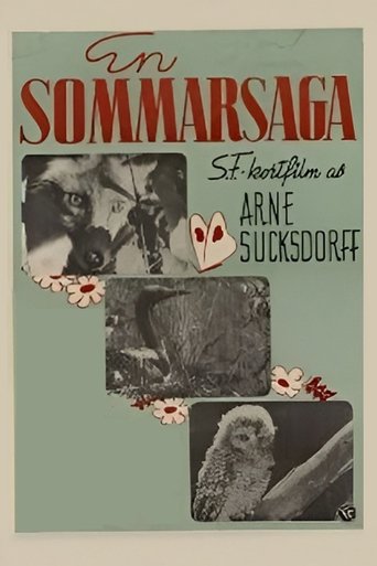 Poster of Summer's Tale