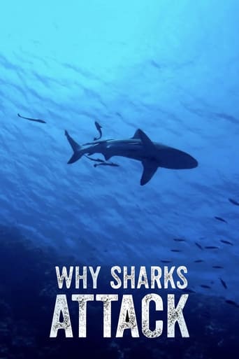 Poster of Why Sharks Attack