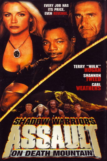Poster of Assault on Death Mountain