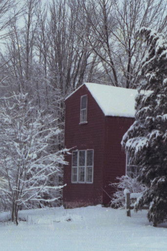 Poster of Quiet Title