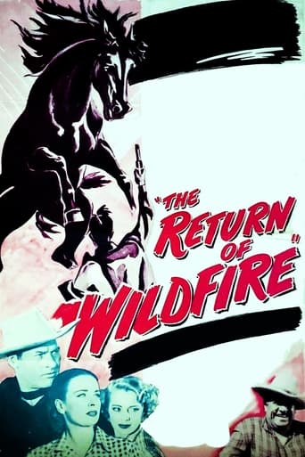 Poster of The Return of Wildfire