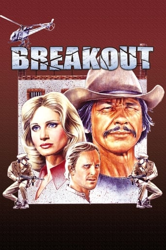 Poster of Breakout