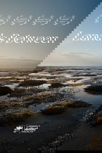 Poster of Lands Between