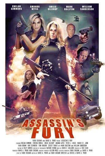 Poster of Assassin's Fury