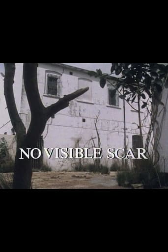 Poster of No Visible Scar