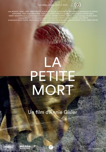The Little Death Poster of The Little Death