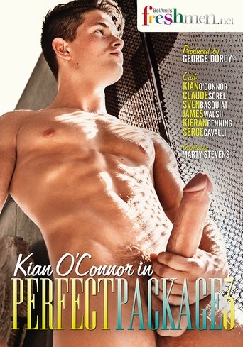 Perfect Package 3 Poster of Perfect Package 3