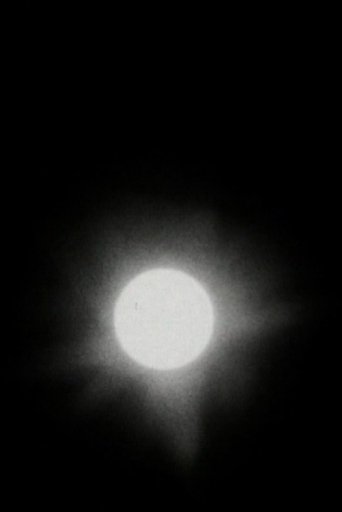 The Transit of Venus Poster of The Transit of Venus