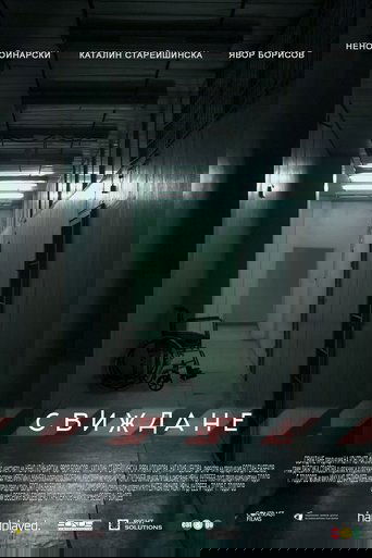 The Visit Poster of The Visit