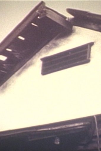 Poster of The Forgettable Sights
