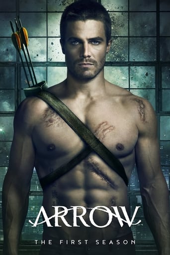 Portrait for Arrow - Season 1