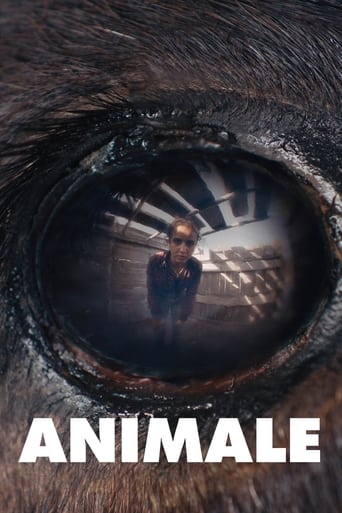 Poster of Animale