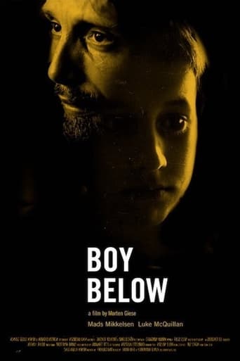 Poster of The Boy Below