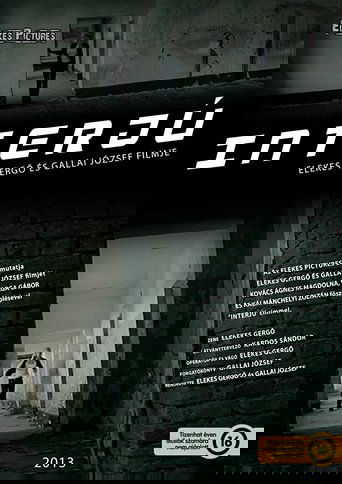 Poster of Interjú