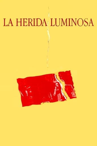 Poster of La herida luminosa