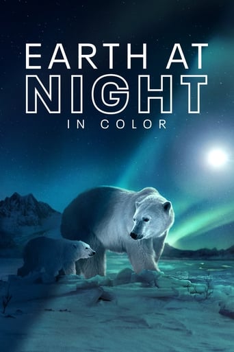 Poster of Earth at Night in Color
