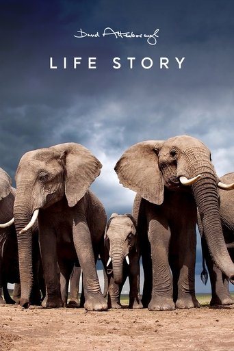 Life Story Poster of Life Story